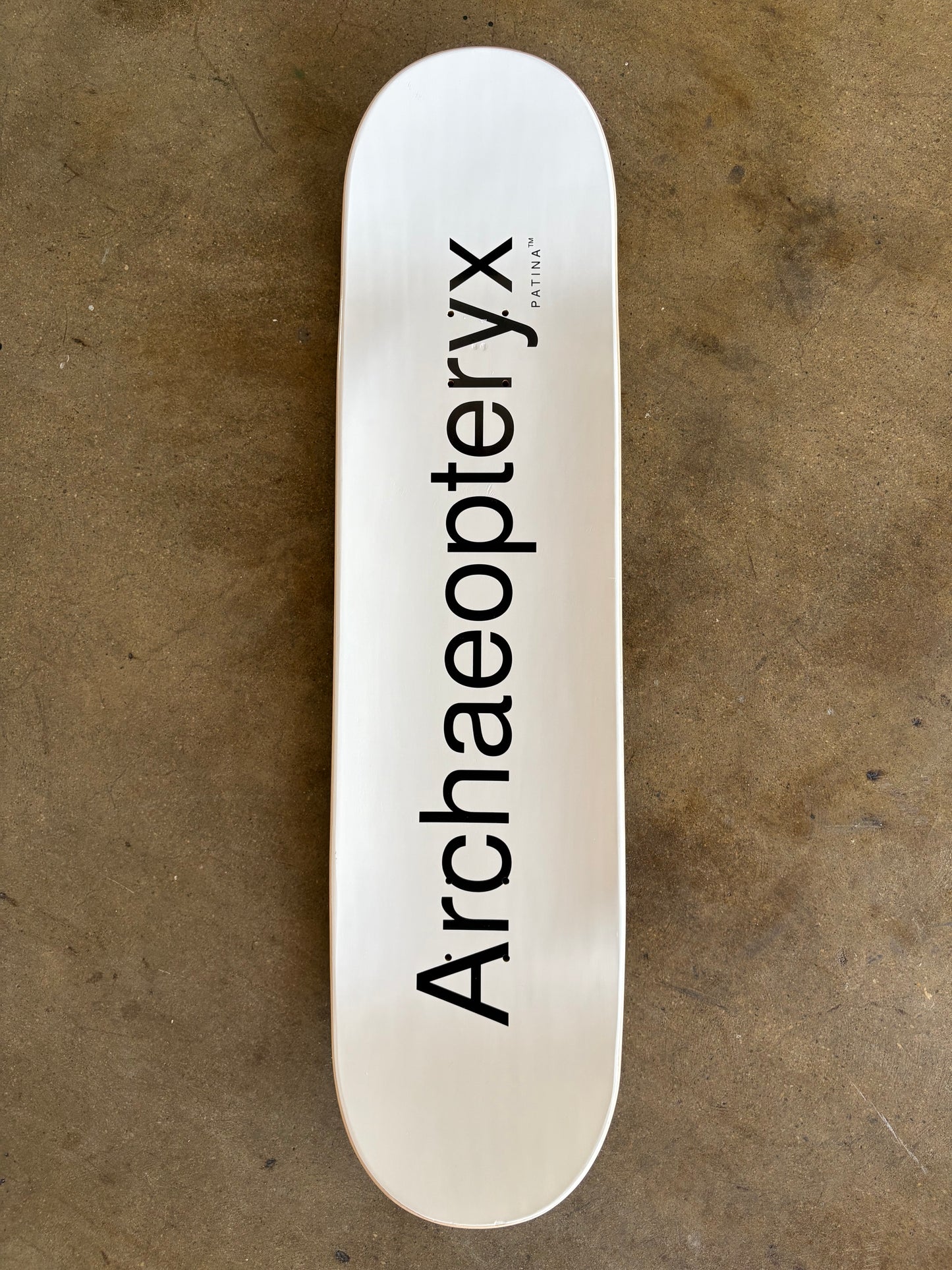 Archaeopteryx
